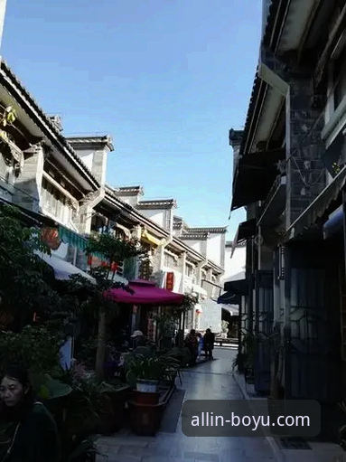 博鱼综合平台专业竞猜教程详解